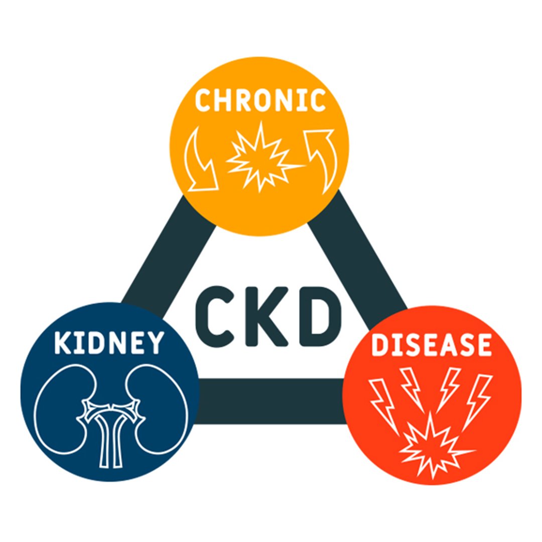 Clinical Highlight: National Kidney Month: When Should You Refer CKD to Nephrology? Key Pearls for APPs