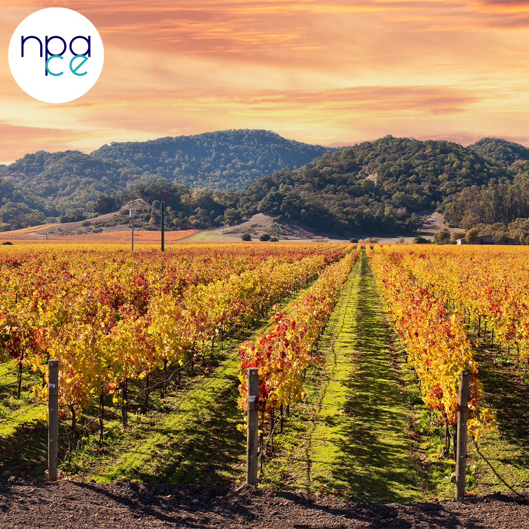 Why Napa Matters to Me
