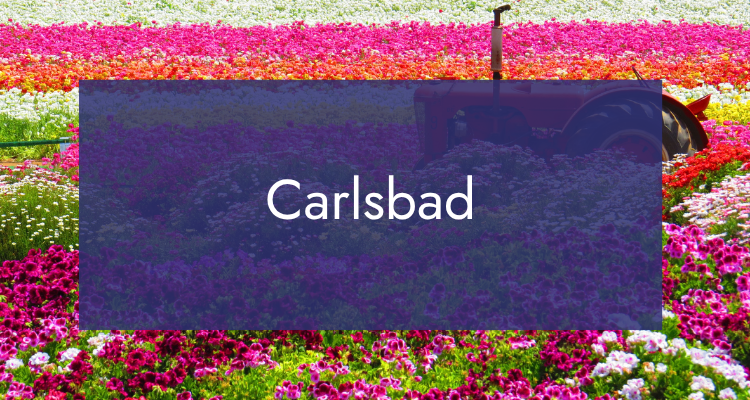 carlsbad-1